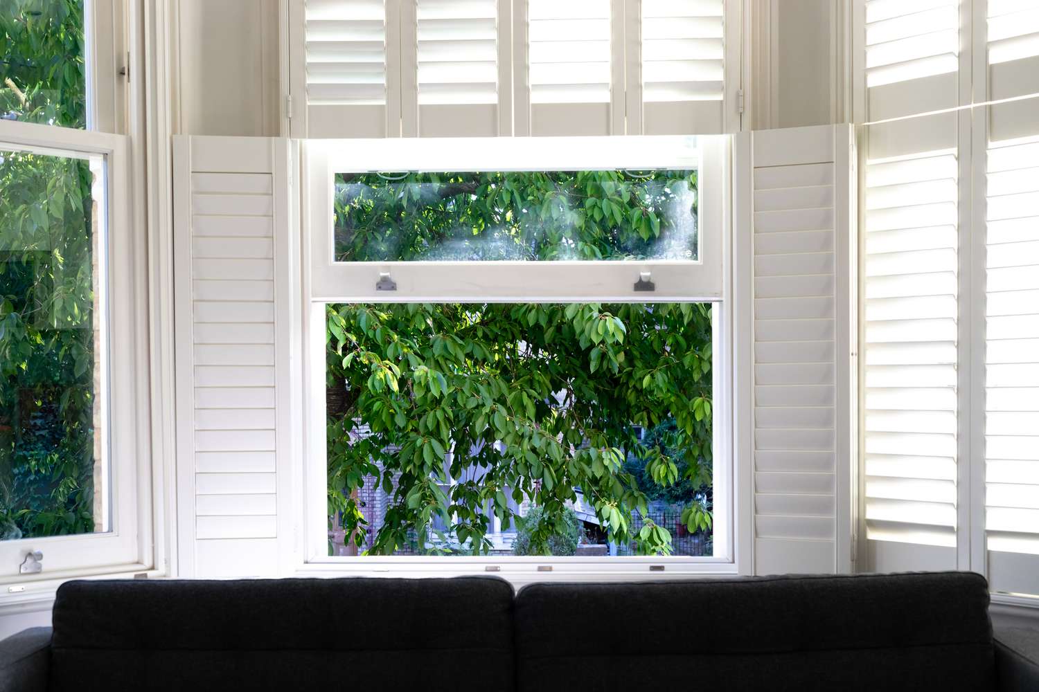 Volets en bois blanc encadrant la fenêtre avec arbre à l'extérieur