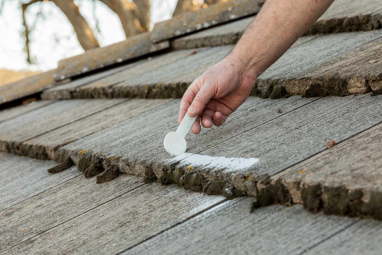 Application de poudre sèche anti-mousse sur le toit