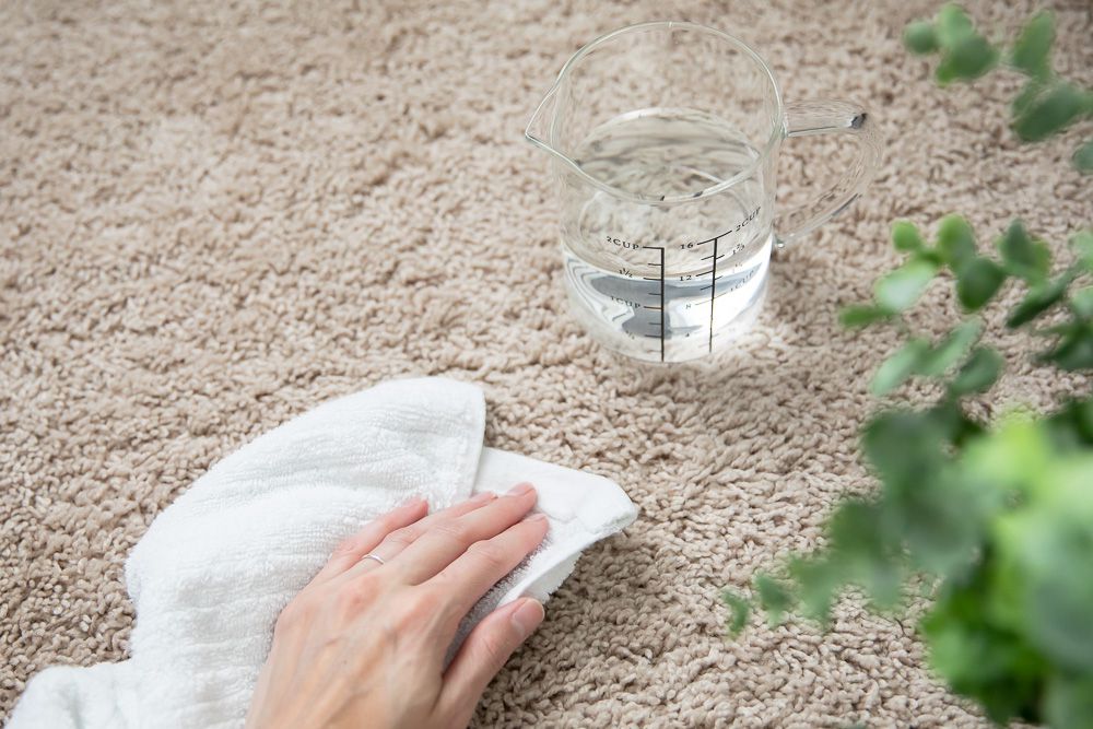 Tapis nettoyé rincé avec un chiffon blanc et de l'eau propre