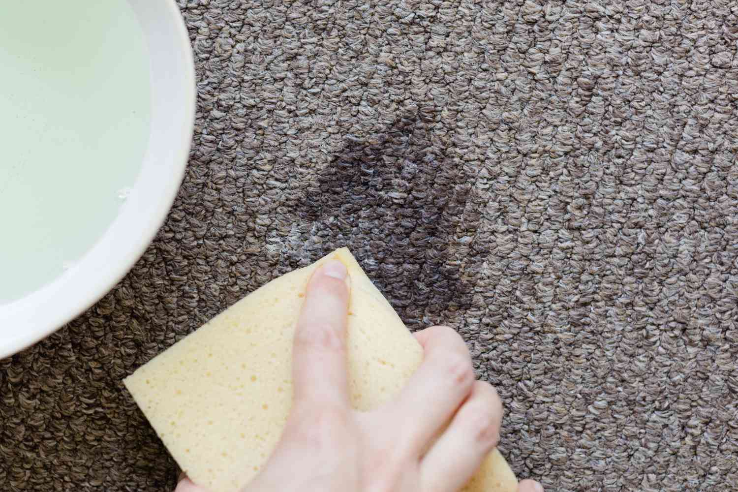 Éponge avec solution de nettoyage essuyant le fromage à la crème du tapis