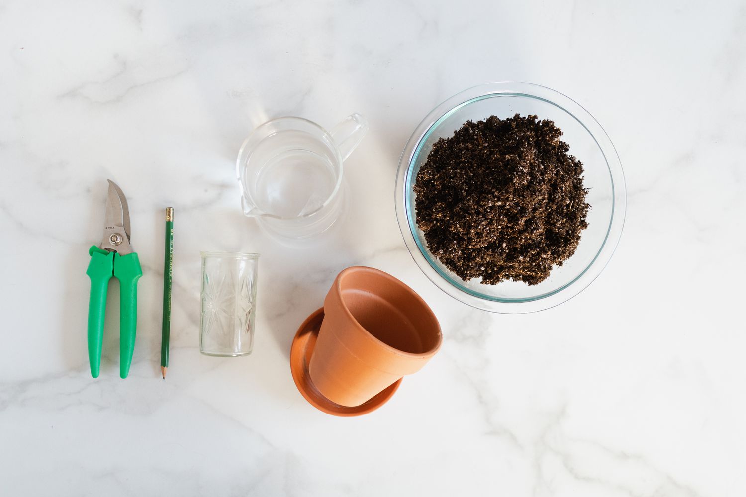 matériel pour la propagation des plantes araignées