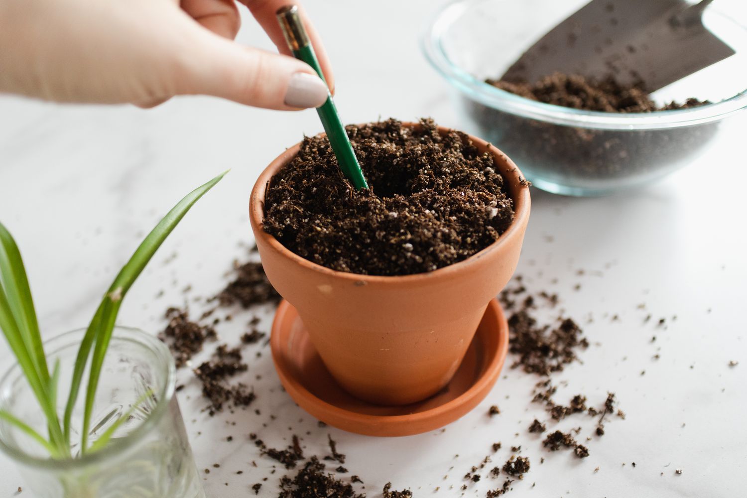 remplir un pot avec du terreau sans terre