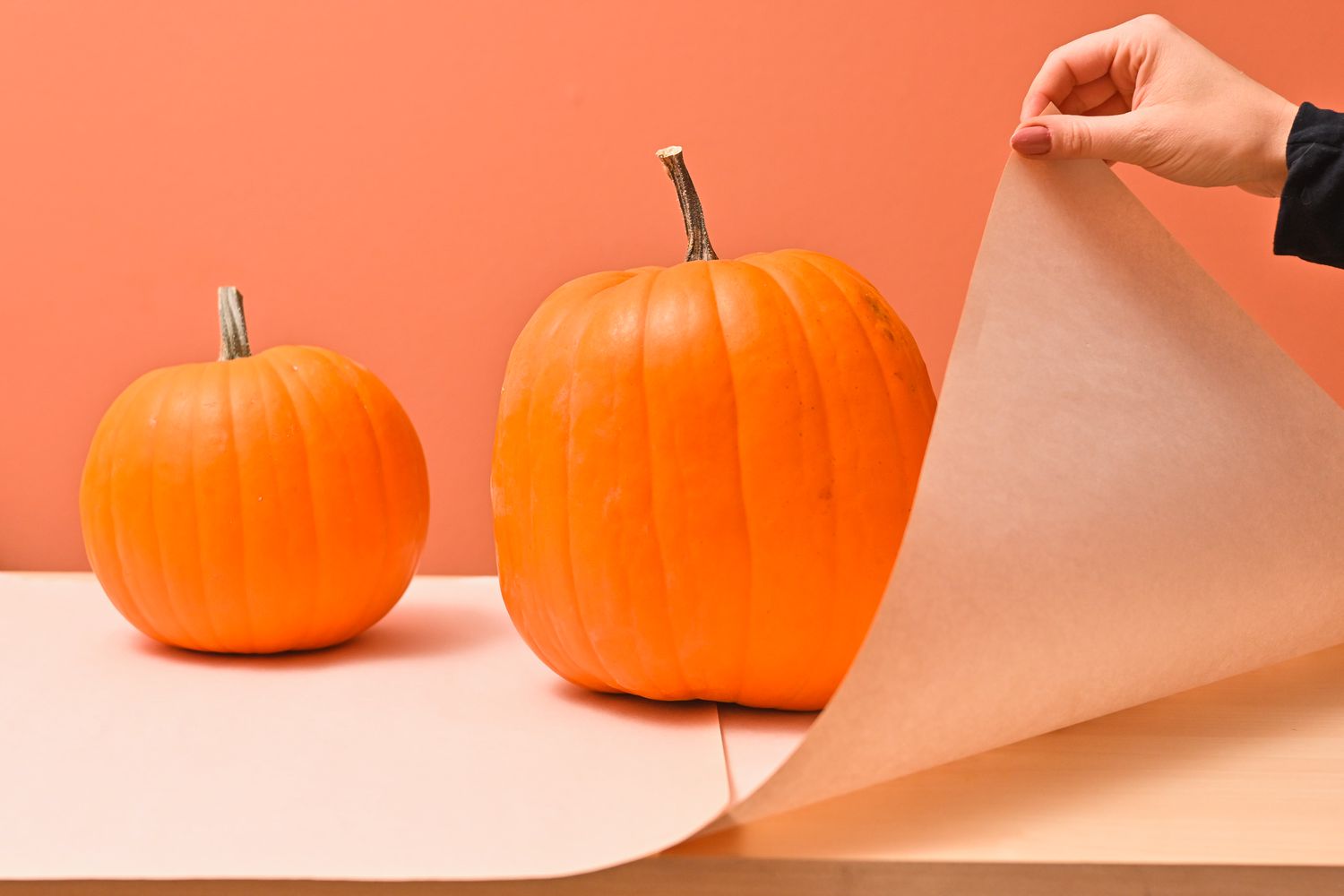 Aménagement d'une zone de sculpture de citrouilles