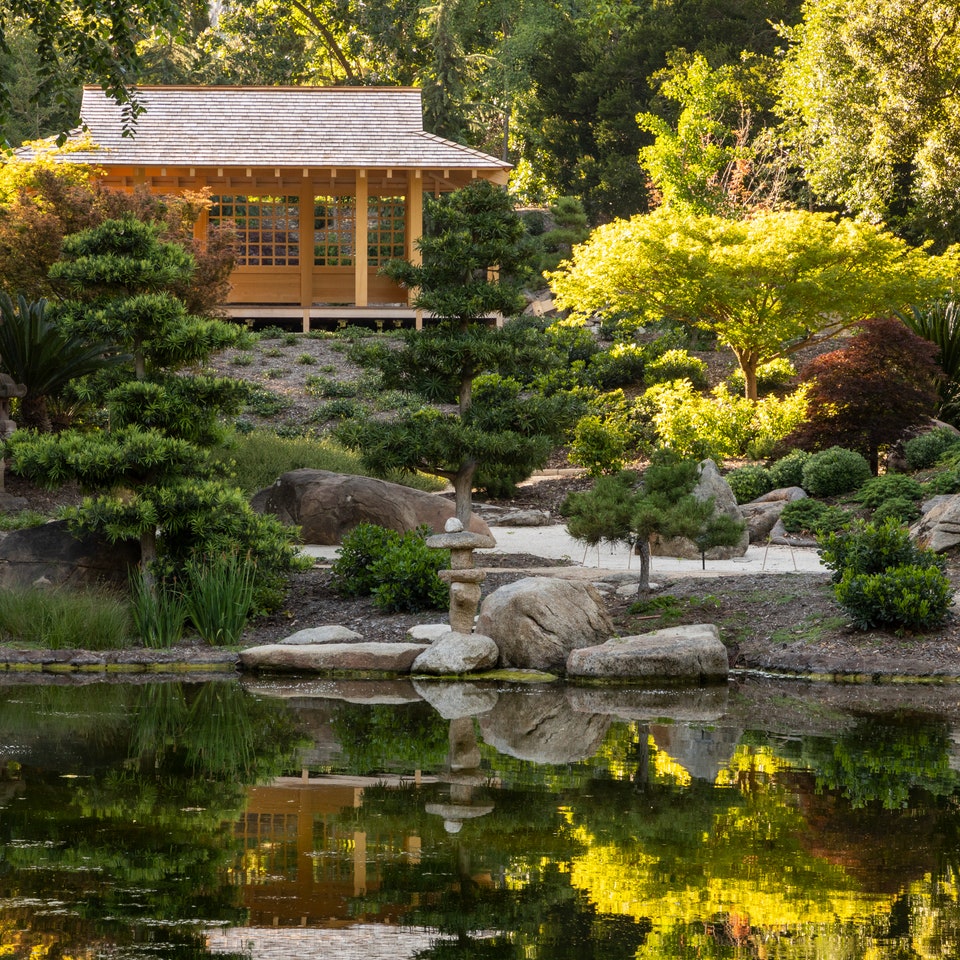 Revisitez les jardins sereins de Lotusland, où 35 000 plantes prospèrent encore 80 ans plus tard