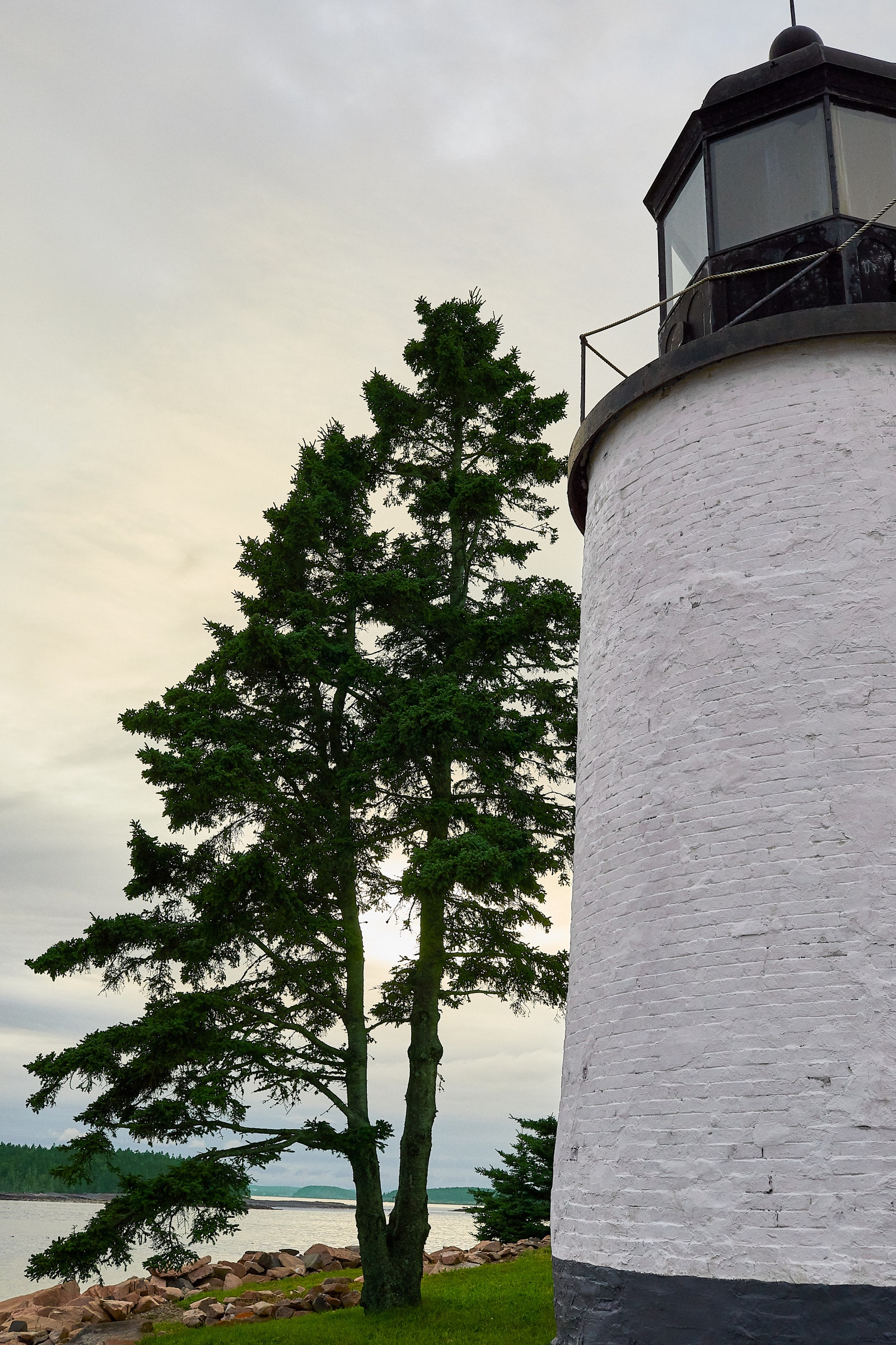 phare arbre vue ciel